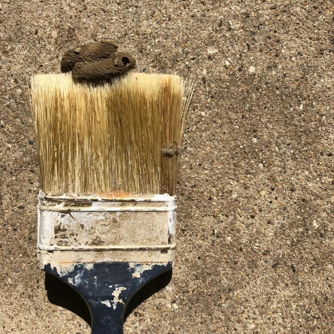 Dirt Dauber paintbrush with wasp nest